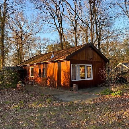 Willa Basic Natuurhuisje Ommen/Beerze Zewnętrze zdjęcie