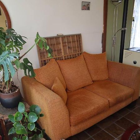 Willa Basic Natuurhuisje Ommen/Beerze Zewnętrze zdjęcie