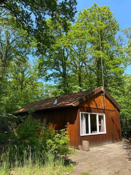 Willa Basic Natuurhuisje Ommen/Beerze Zewnętrze zdjęcie